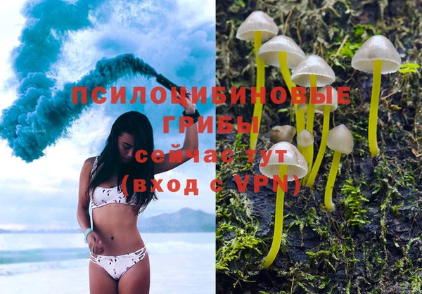 spice Балахна