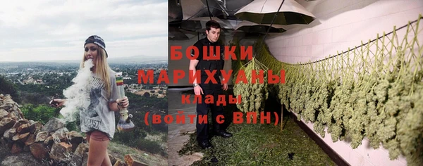 PSILOCYBIN Баксан