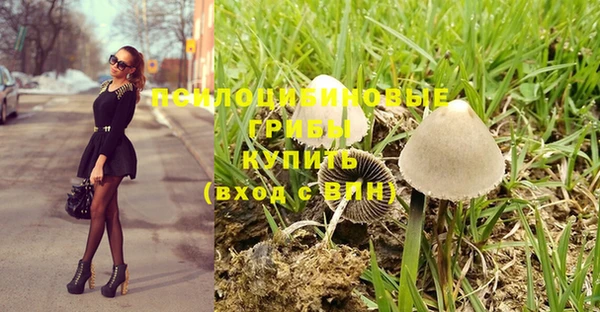PSILOCYBIN Баксан