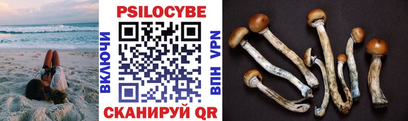 купить наркоту  Белорецк  OMG зеркало  Галлюциногенные грибы Psilocybine cubensis 