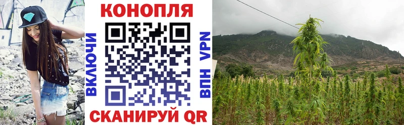 купить   Белорецк  Бошки Шишки сатива 
